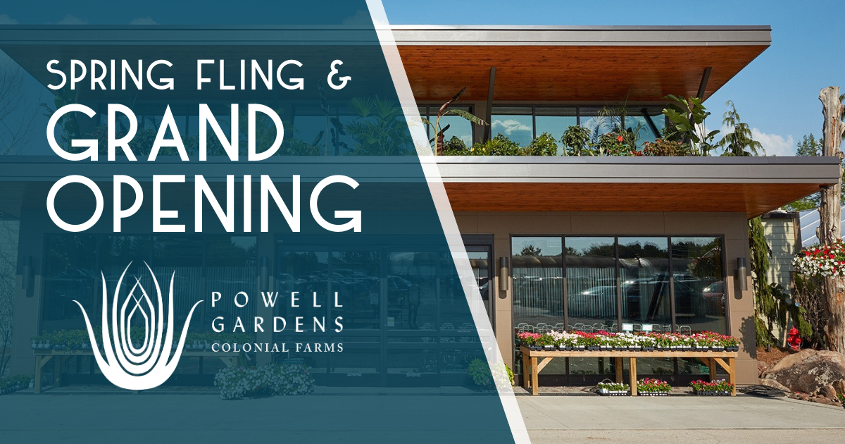 Spring Fling & Grand Opening