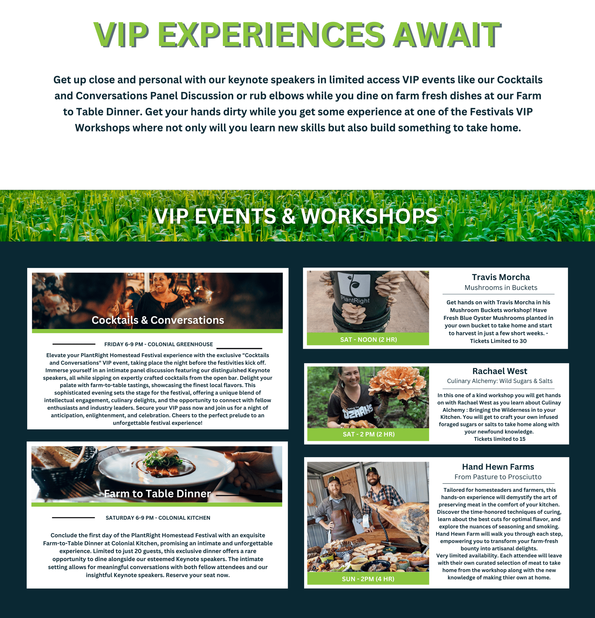 Homestead VIP Events Website Image-1