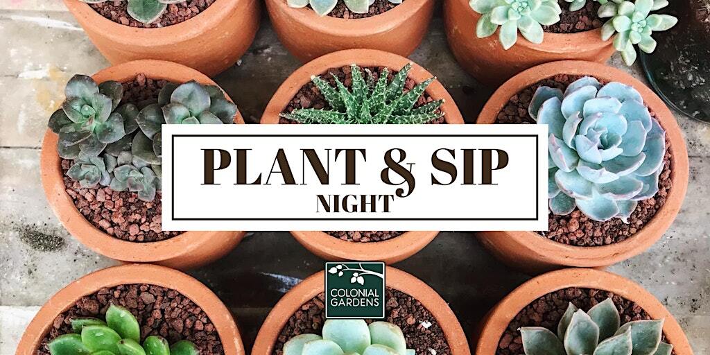Plant & Sip Night