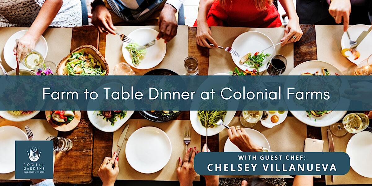 Farm to Table Dinner